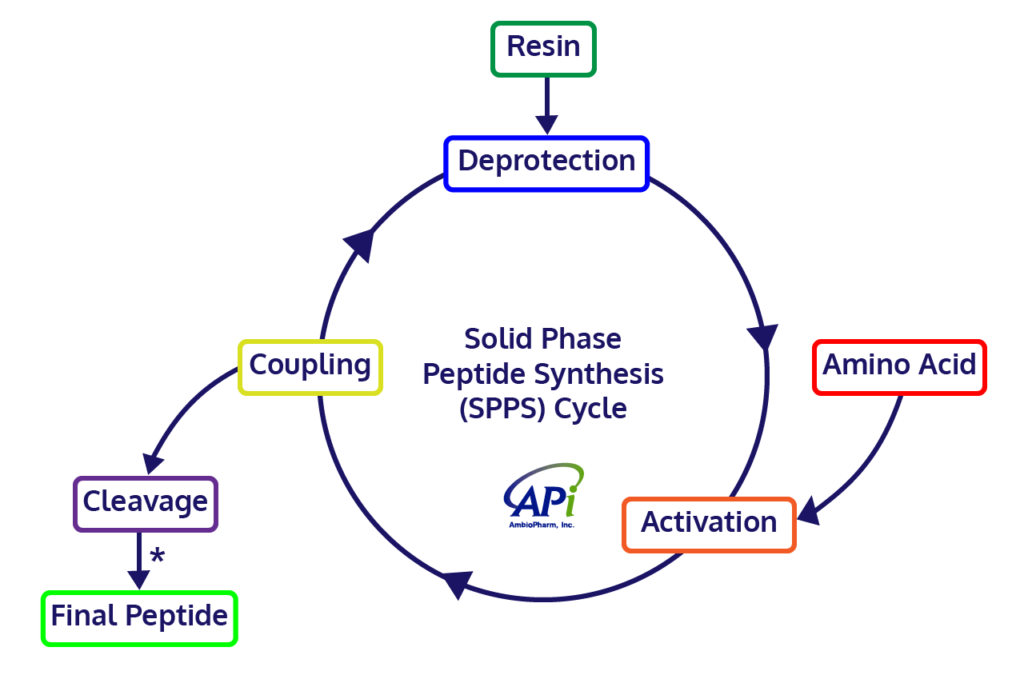 Hhow peptides are made step by step: Complete Guide to Synthesis and Production